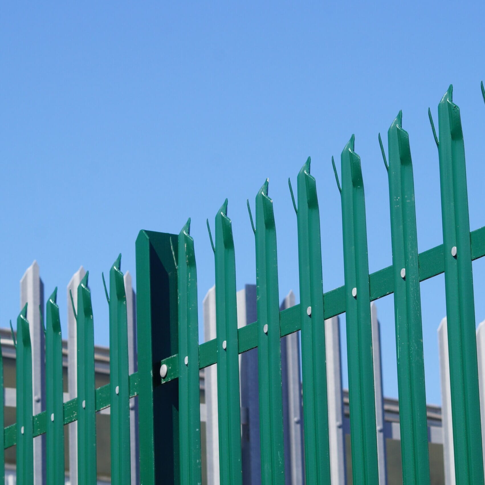 DSC04137-scaled-e1620655043614