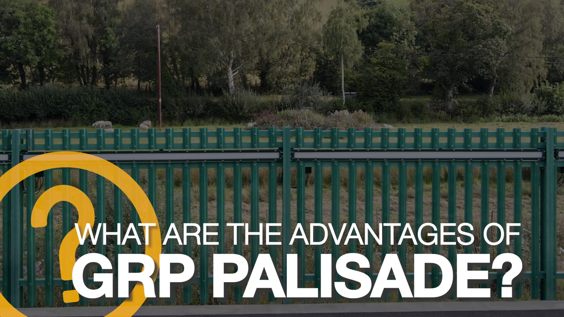 Thumbnail-1.jpg?w=1024&h=576&scale